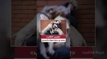 قرار يقلب الموازين.. نجم يوفنتوس ينتزع عرش الأغلى في التاريخ من موهبة ريال مدريد 1